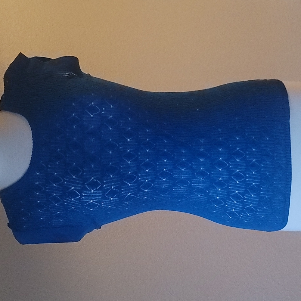 The Limited Lacey Cotton Blue Top